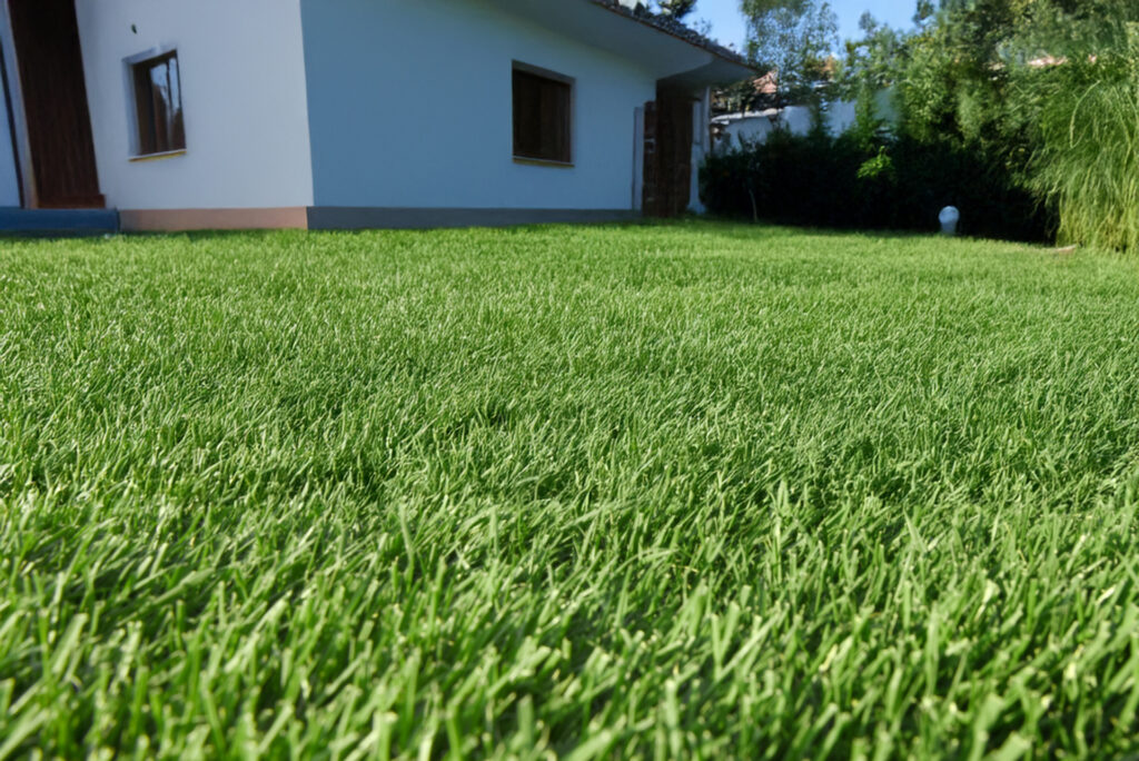 なぜ夏の人工芝は高温になるのか?そのメカニズムと真実
