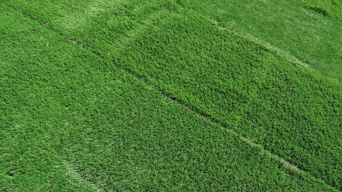 人工芝のDIYでよくある失敗5選！「継ぎ目」や「下地」で後悔しないためのプロの技