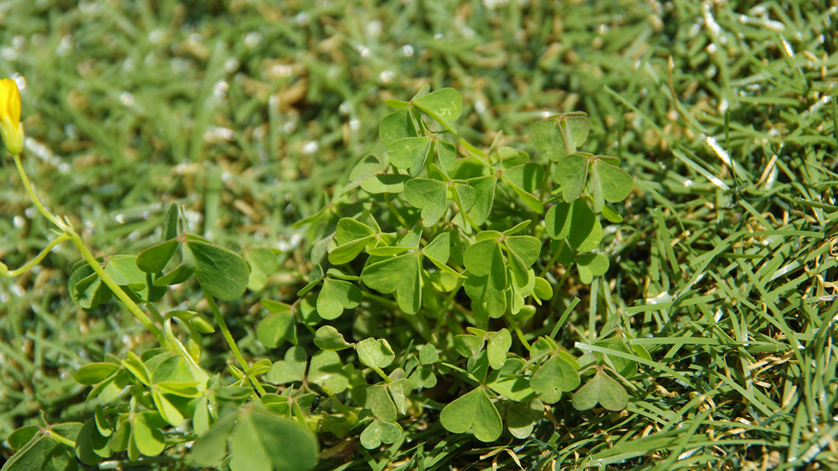 よくある失敗5選と、プロが実践する対策